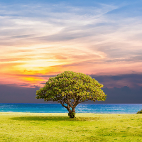 Aud Synnøve Magnussen